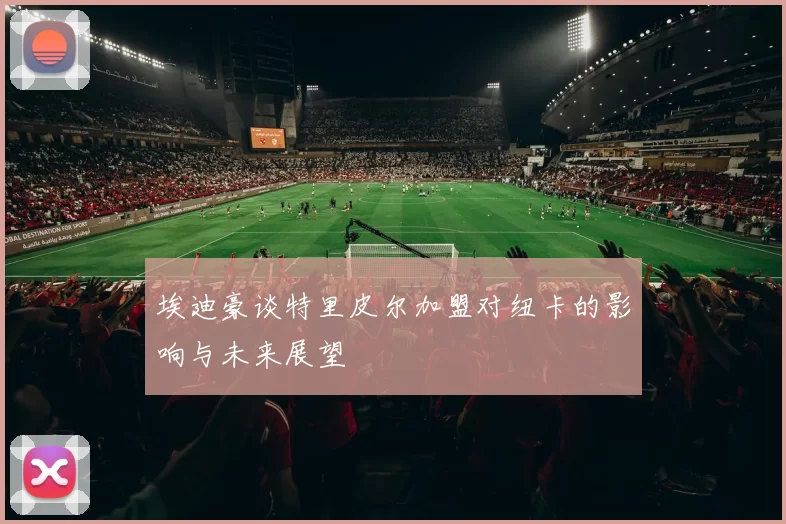 埃迪豪谈特里皮尔加盟对纽卡的影响与未来展望
